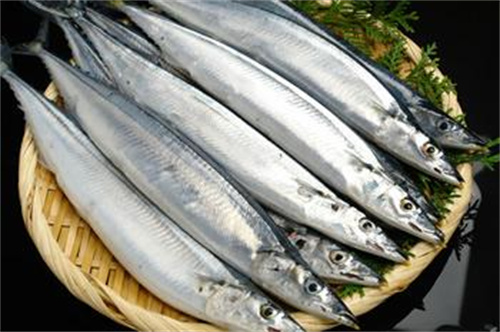 秋刀魚