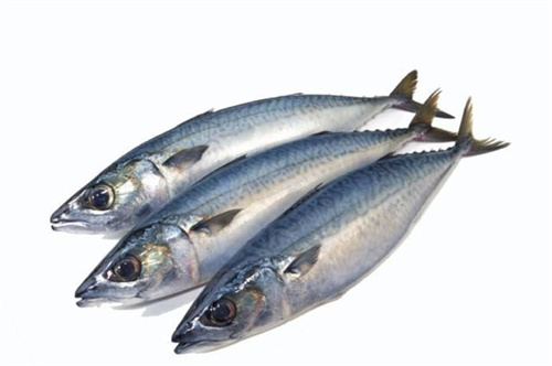 鯖魚
